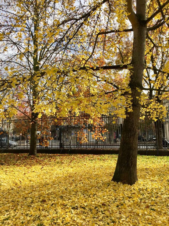Romance Au Coeur De Bordeaux / Jardin Public Экстерьер фото